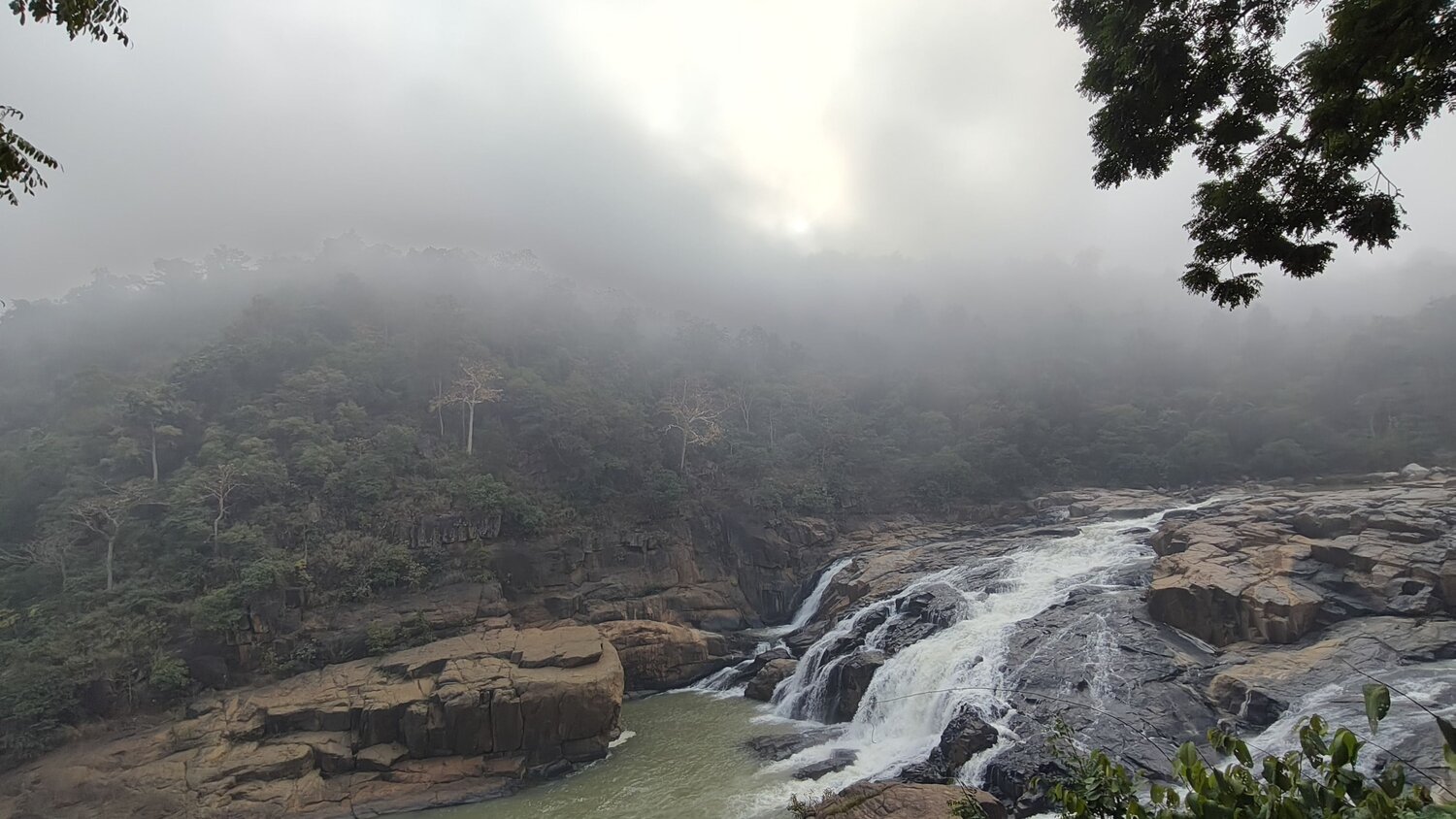 Photo #12203768