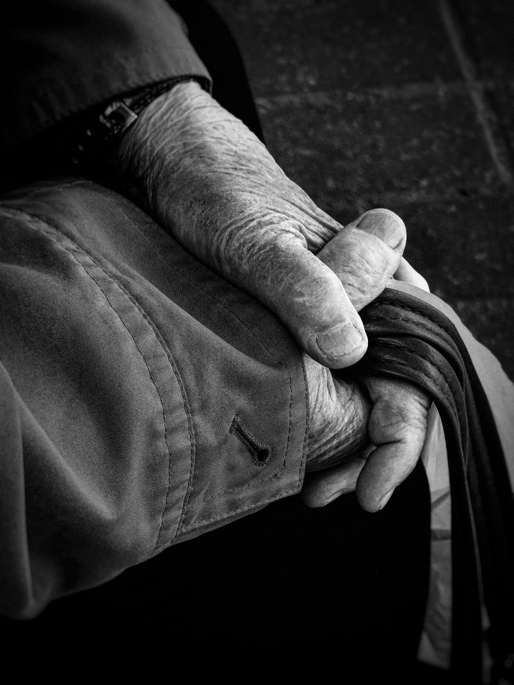 Photo #12203776