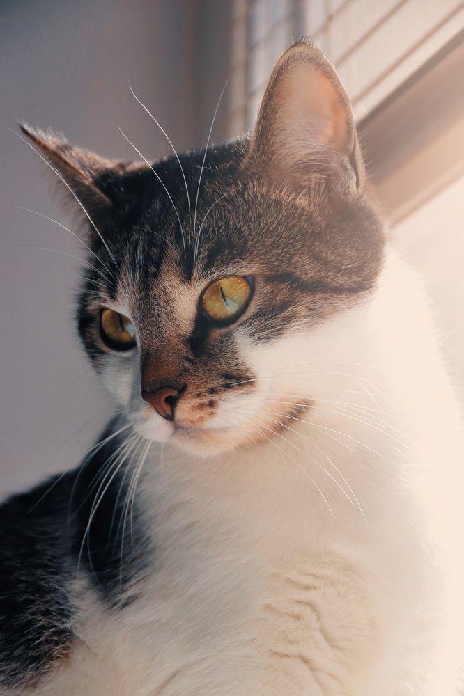 Photograph by Анна Любимова