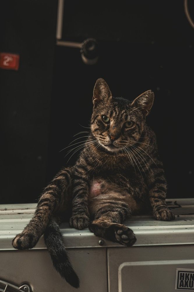 Photograph by Hakan Tunc