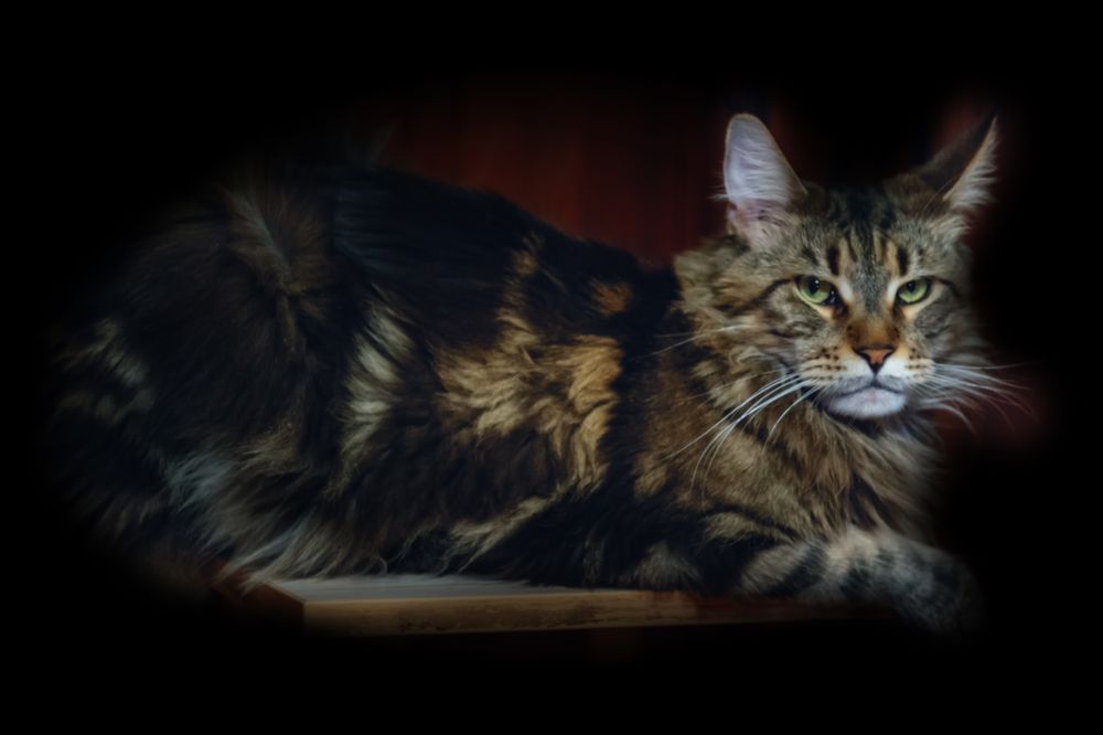 Photograph by Сергей Немчинов