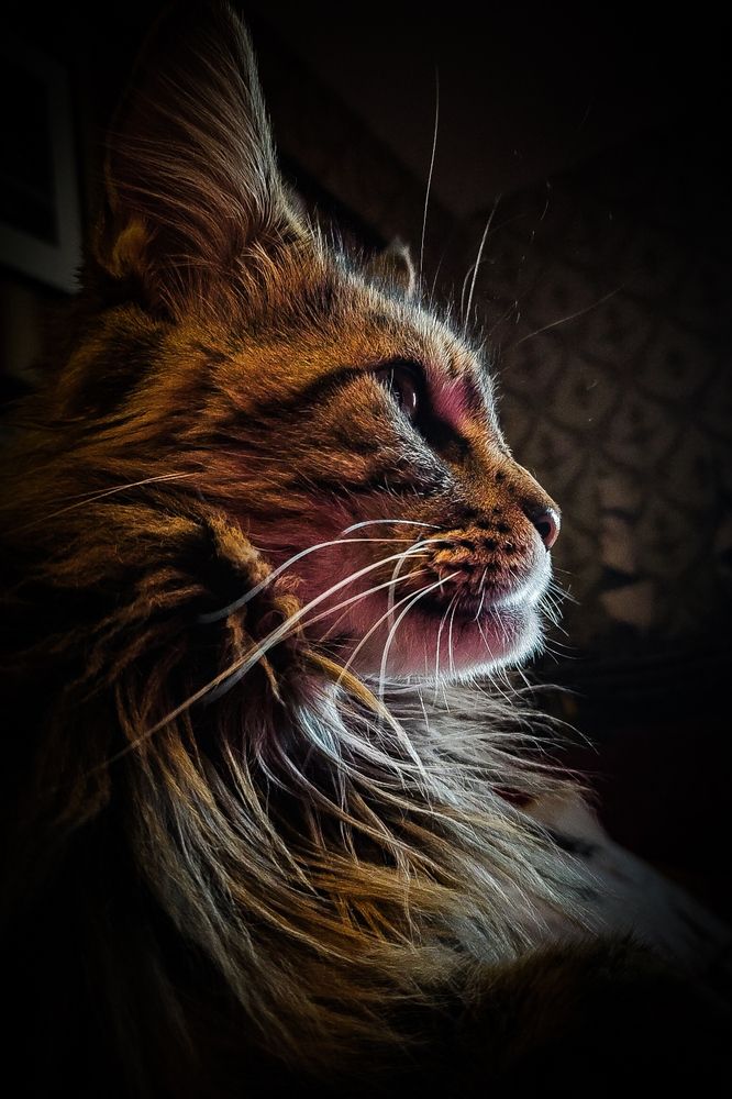 Photograph by Сергей Немчинов