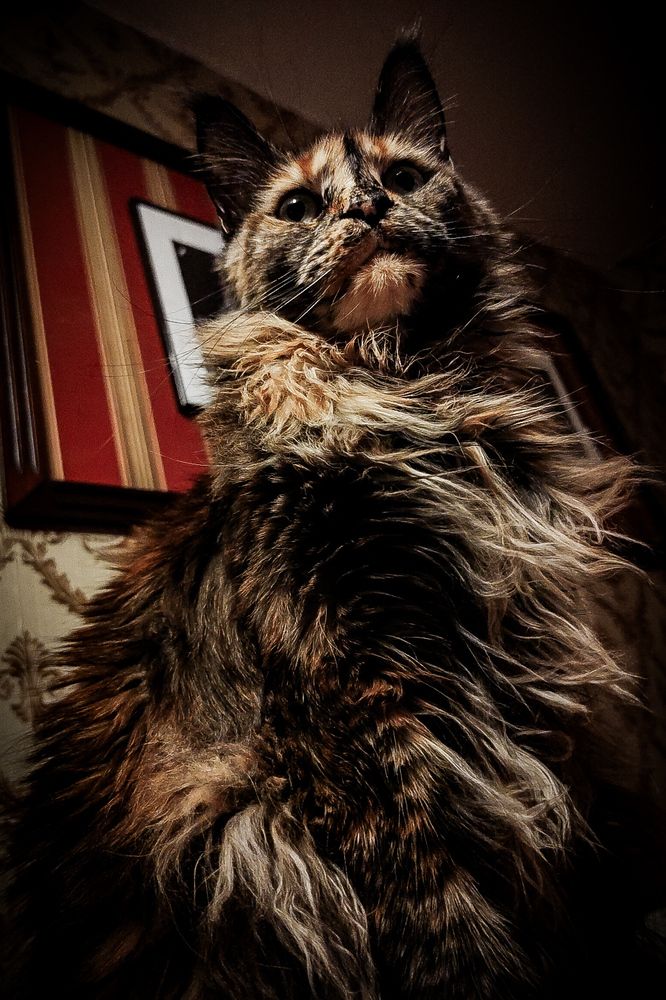 Photograph by Сергей Немчинов