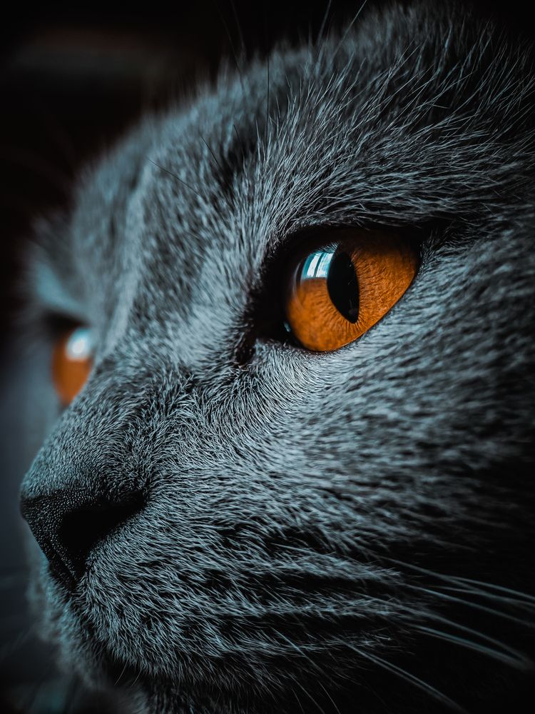 Photograph by Игорь Кабанов