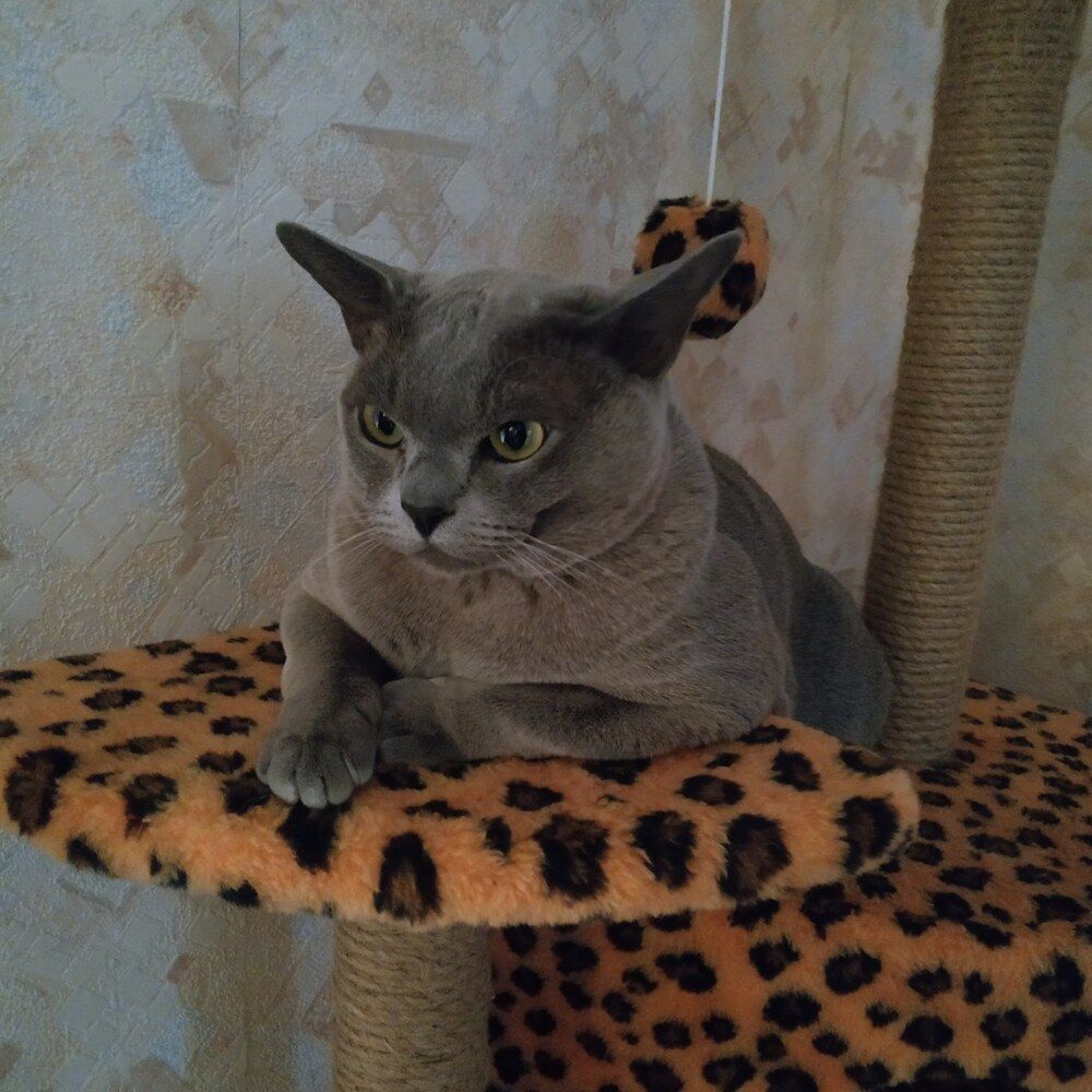 Photograph by Роман Кузнецов