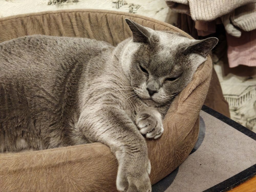 Photograph by Роман Кузнецов