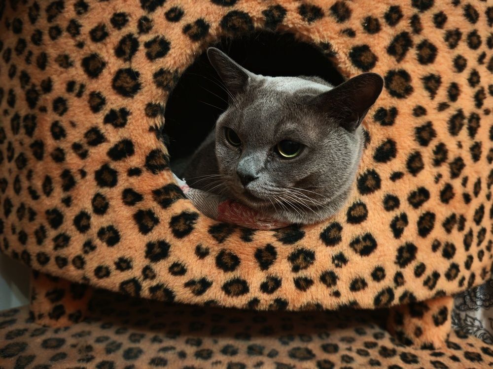 Photograph by Роман Кузнецов