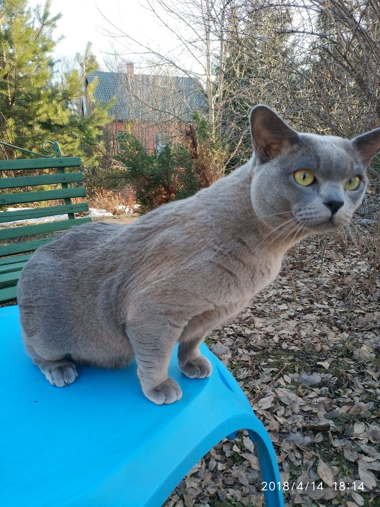 Photograph by Роман Кузнецов