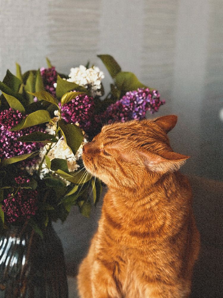 Фотография автора Oksana Yurasova