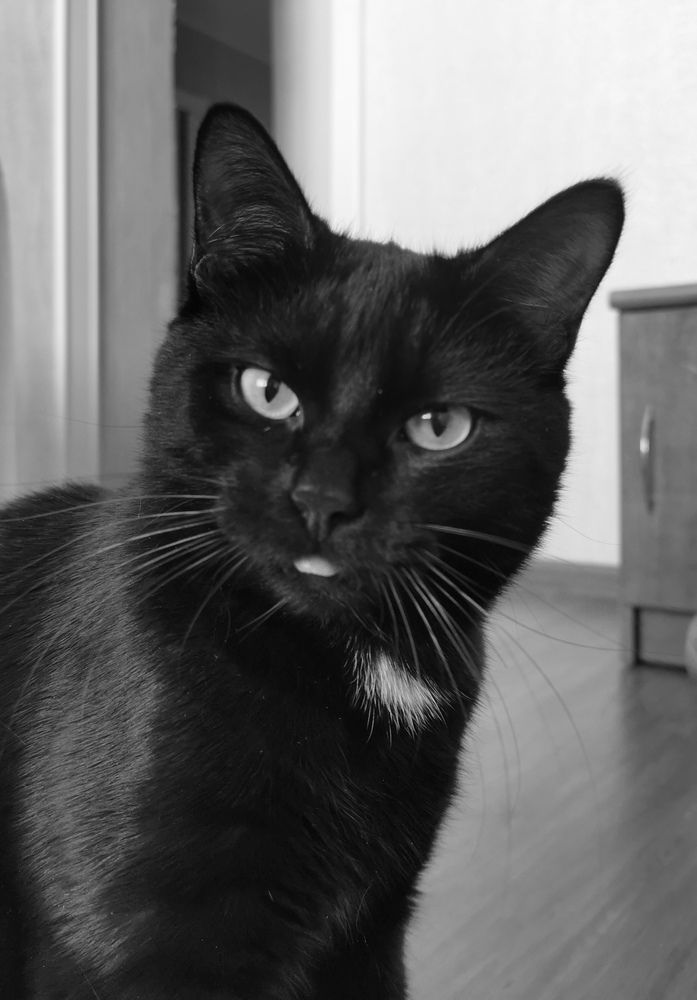 Photograph by Алиса Малая