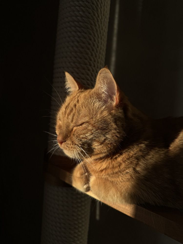 Фотография автора Oksana Yurasova