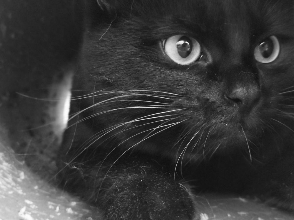 Photograph by Алиса Малая