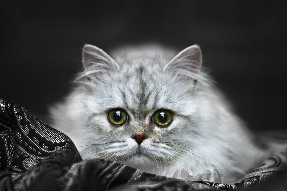 Photograph by Александр Вячеславович