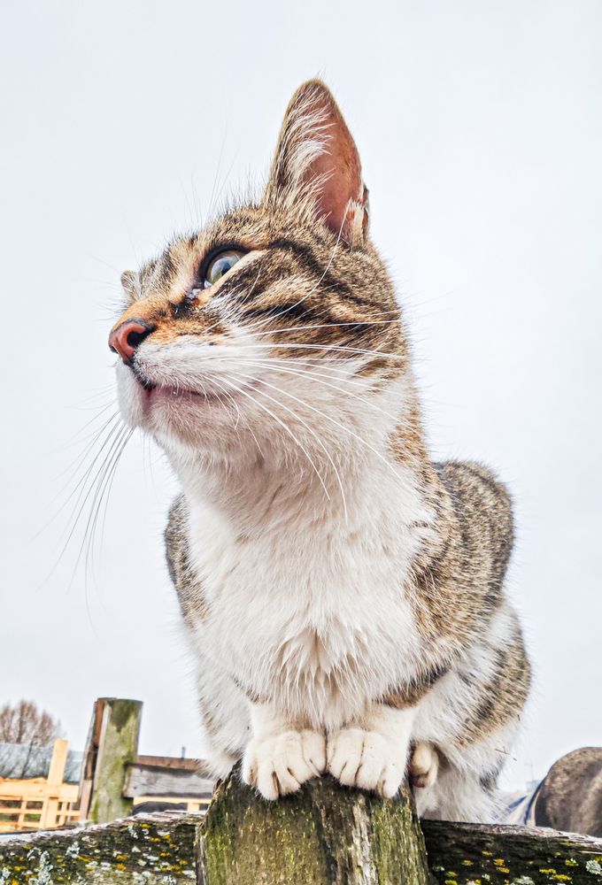 Photograph by Алена Лосева