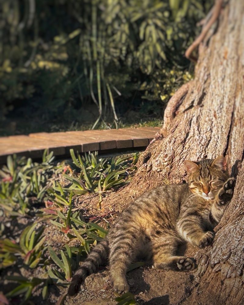 Photograph by Аруза