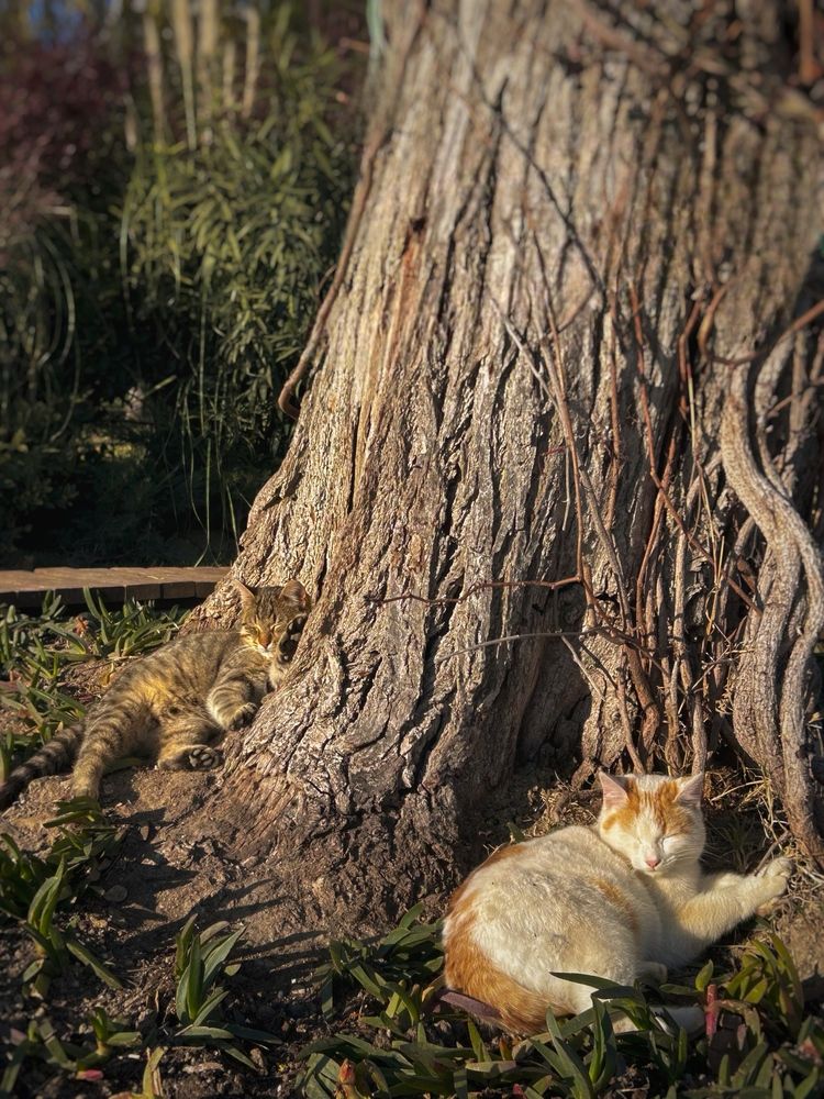 Photograph by Аруза