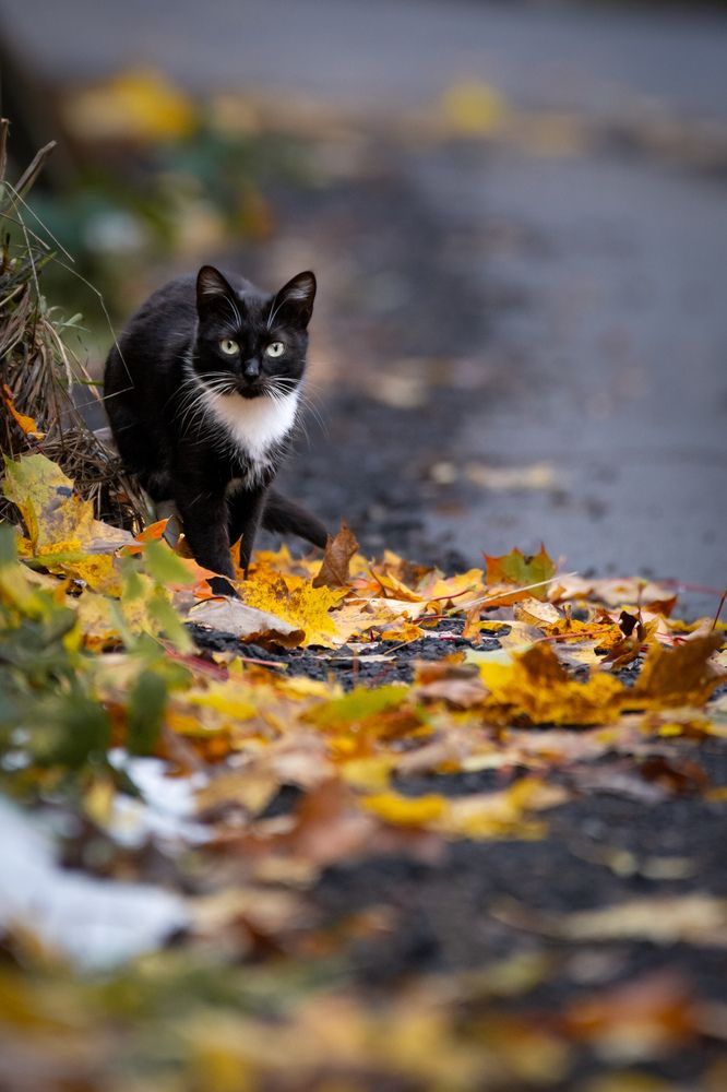 Photograph by Ольга