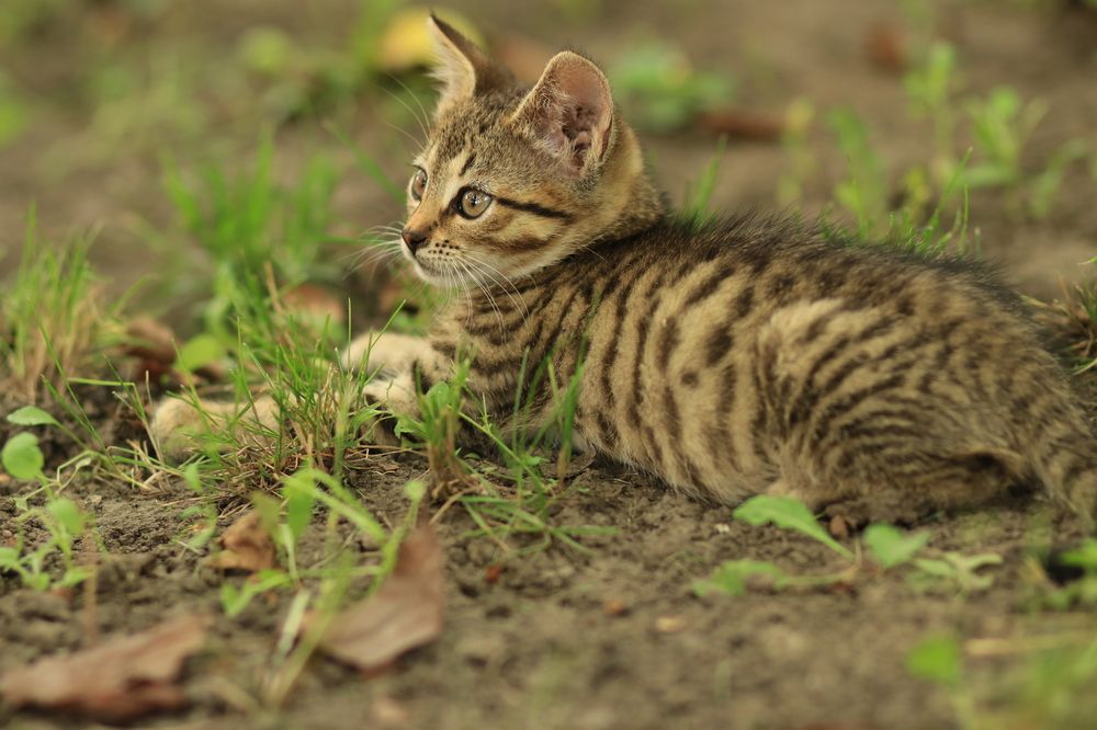 Photograph by Юлия Щетинина