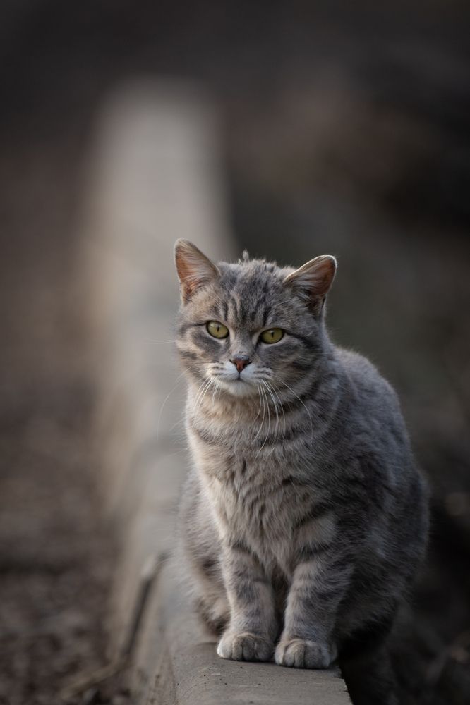 Photograph by Ольга