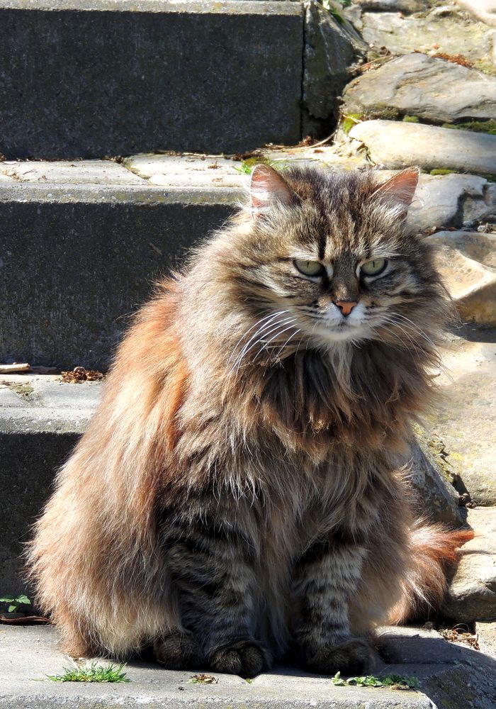 Photograph by Михаил Малец