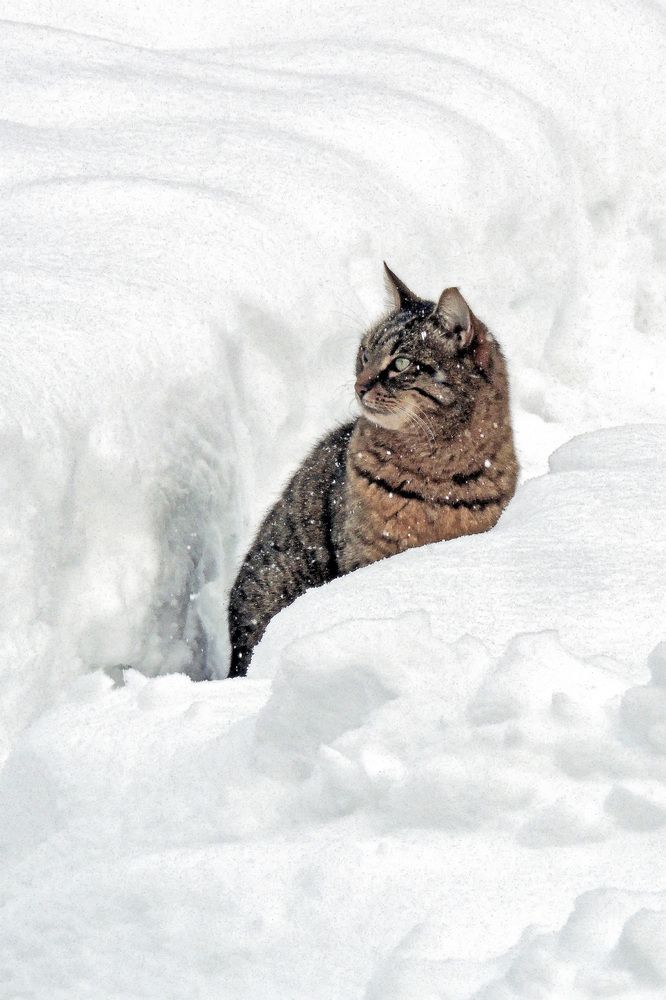 Photograph by Михаил Малец