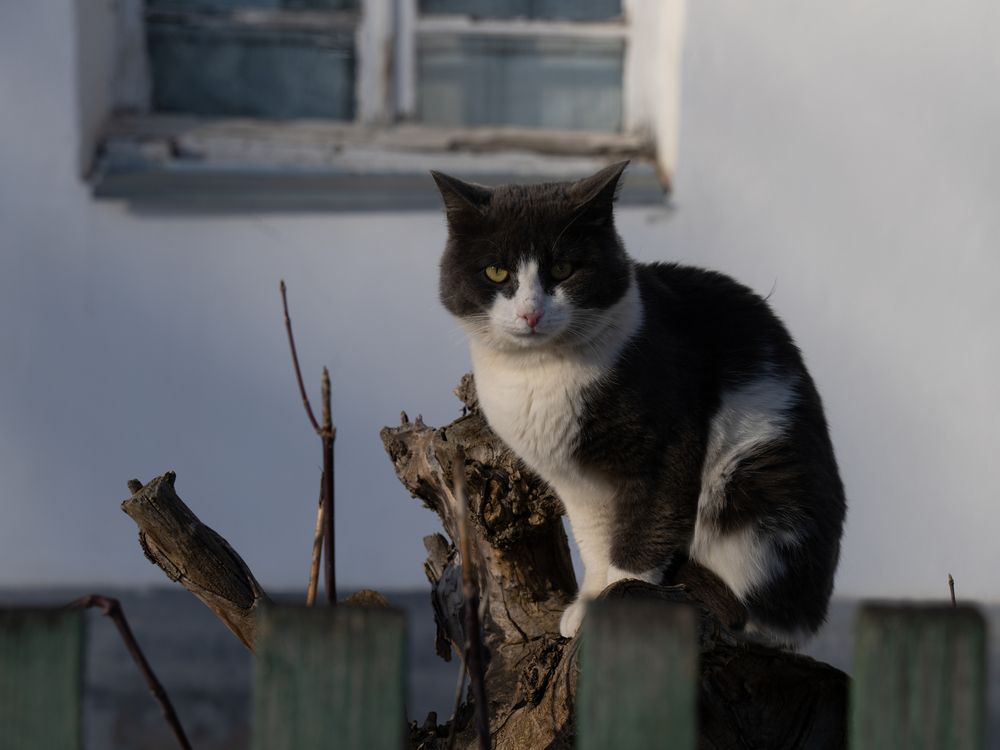 Photograph by Алена Лосева