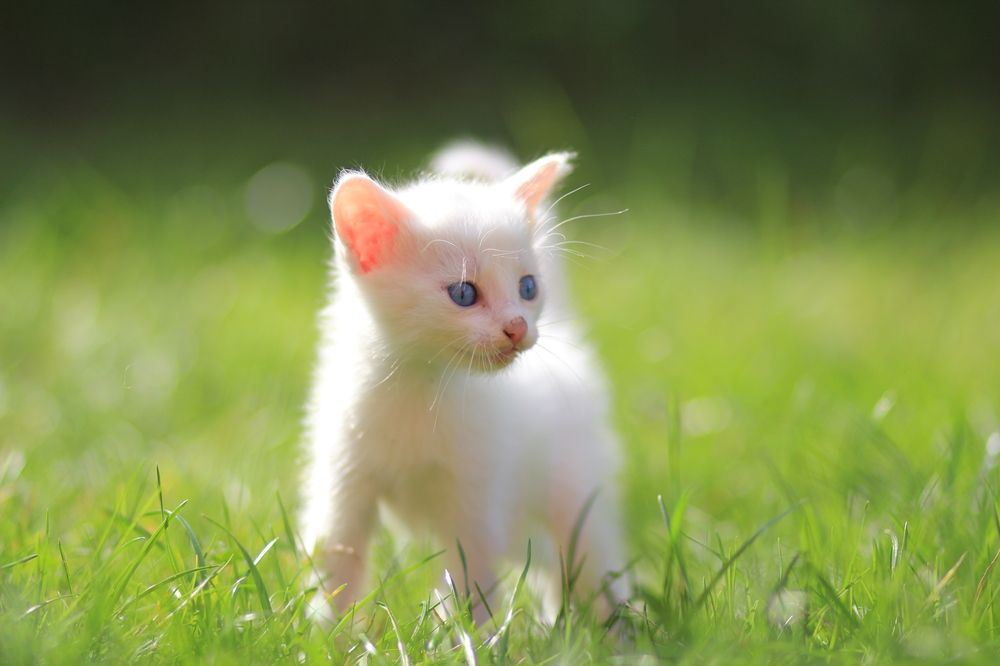 Photograph by Юлия Щетинина