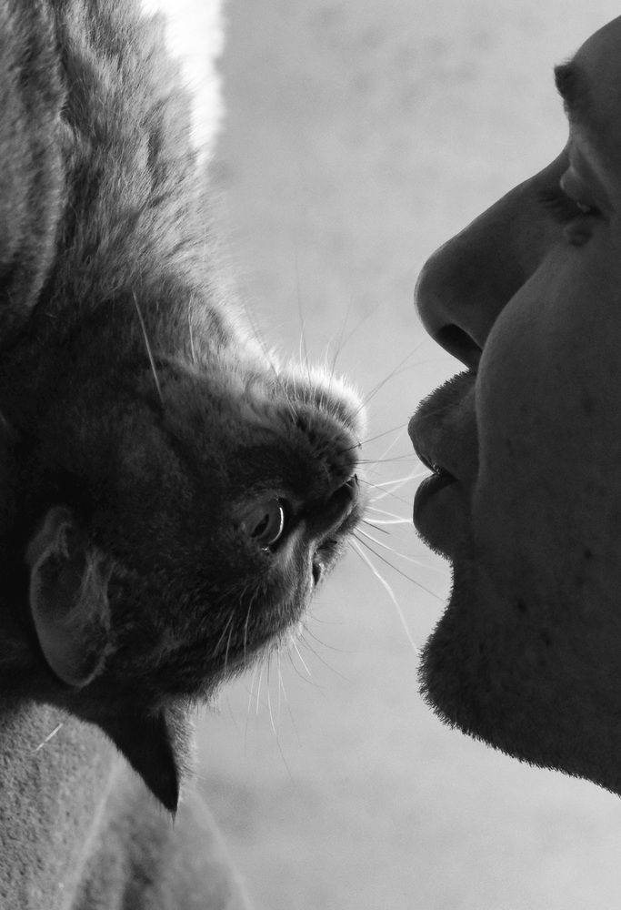 Photograph by Яна Истоцкая