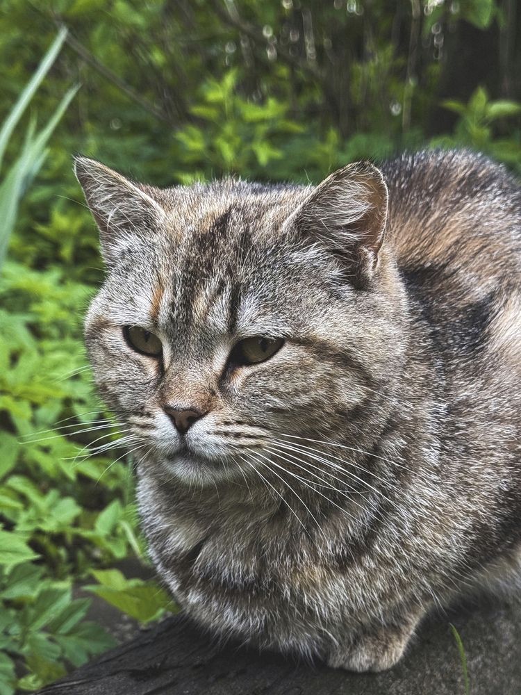 Photograph by Светлана Долганова