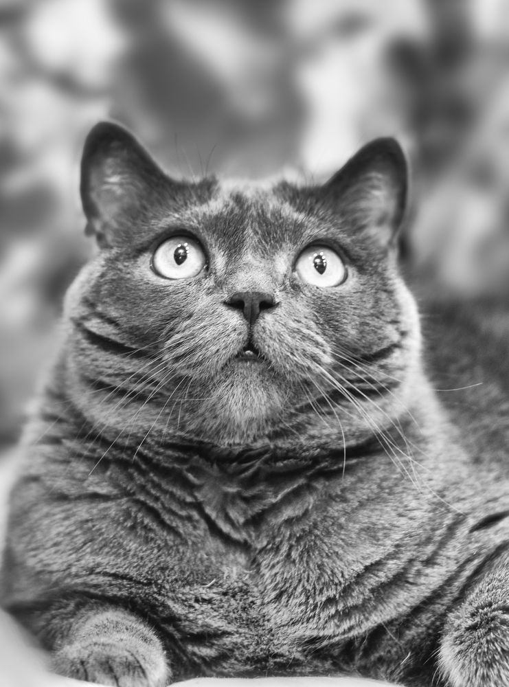 Photograph by Екатерина Ковалева