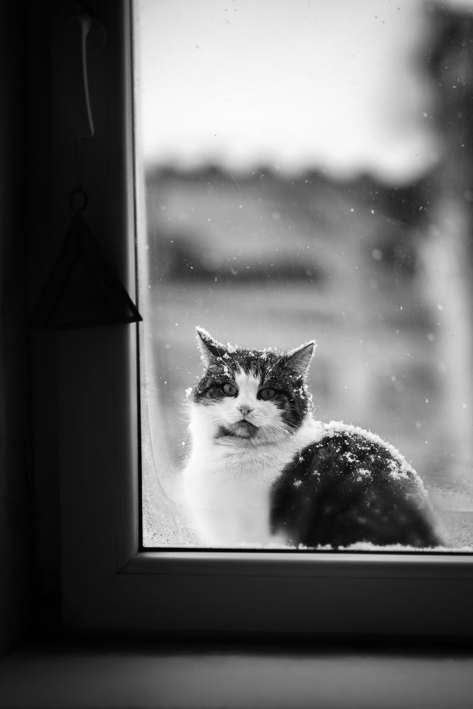 Photograph by Jānis Paļulis