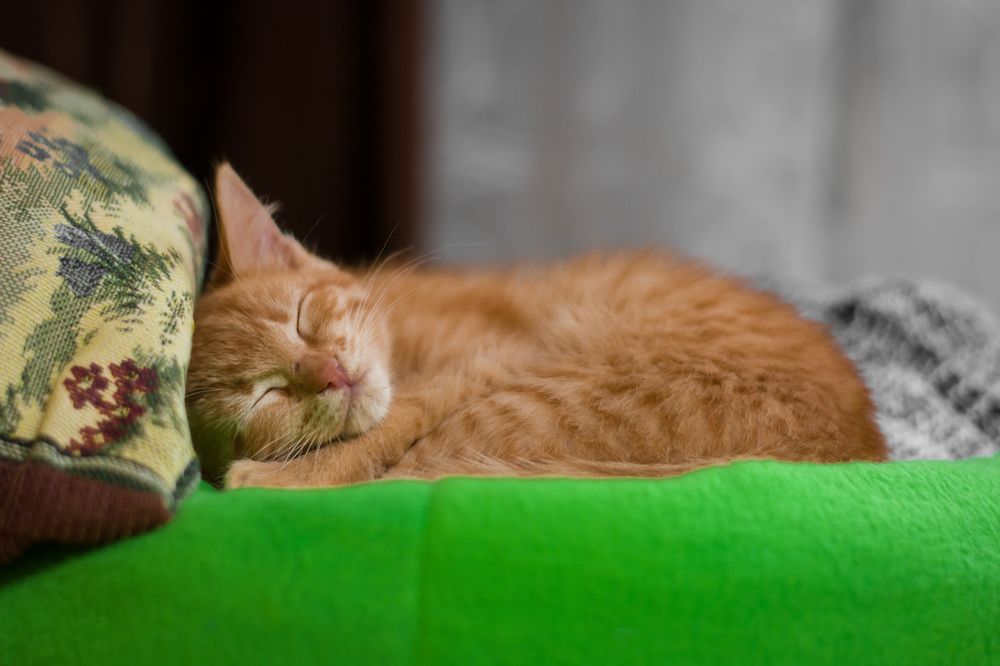 Photograph by Олег Бережных