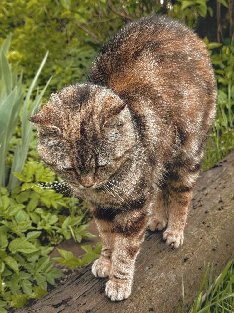 Photograph by Светлана Долганова