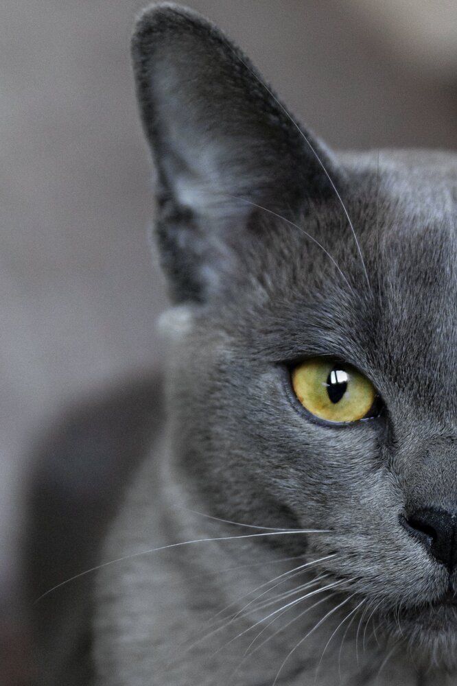 Photograph by Наталья Носова (Кучеренко)