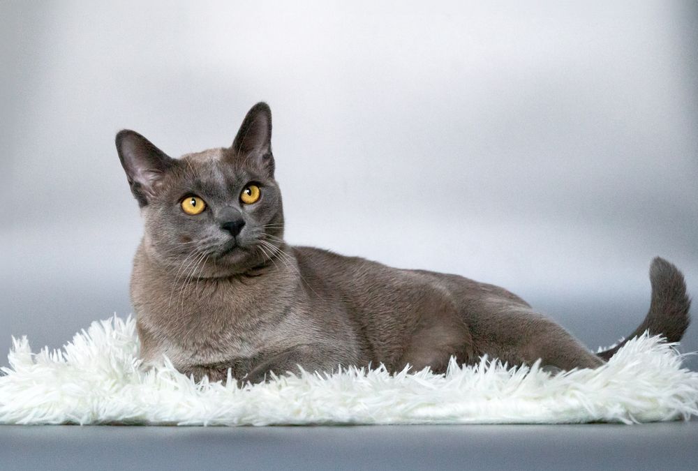 Photograph by Наталья Носова (Кучеренко)