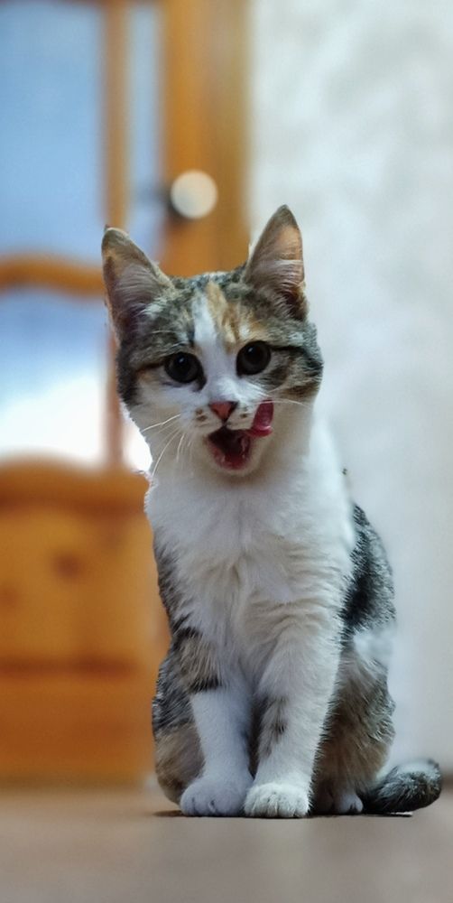 Фотография автора Светлана Анатольевна Чернышова