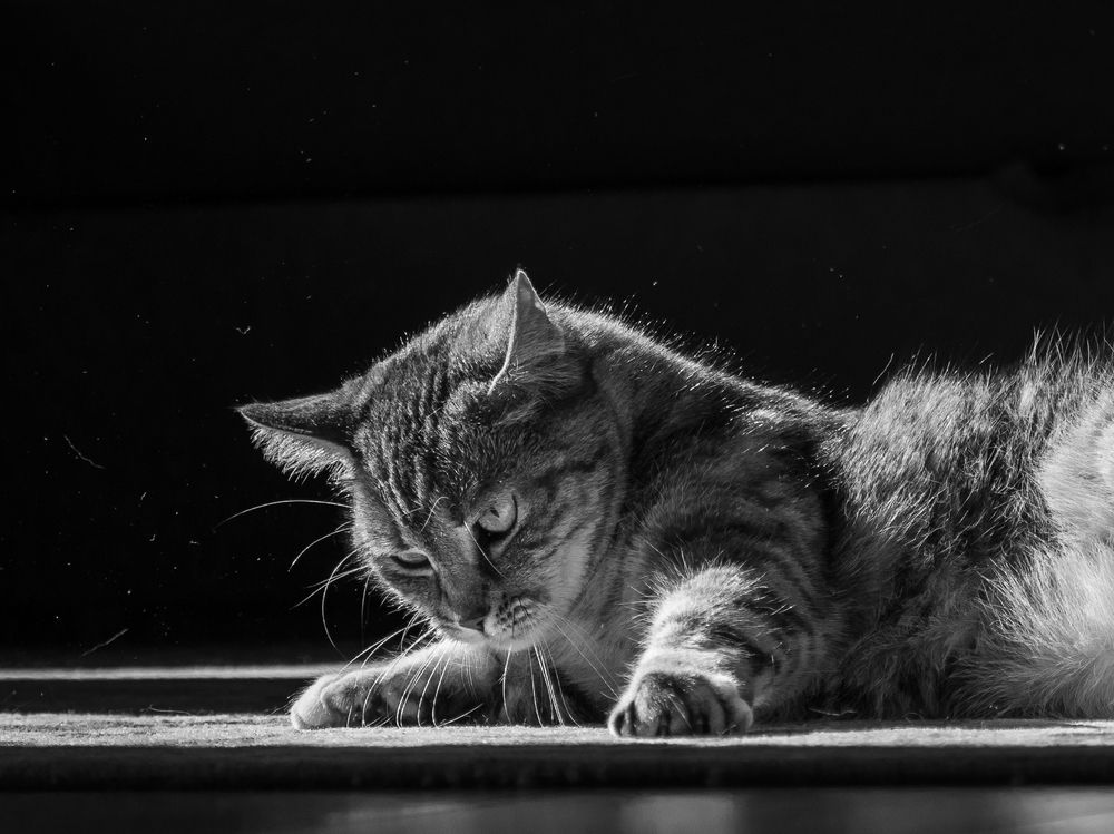 Photograph by Iryna Siamionava