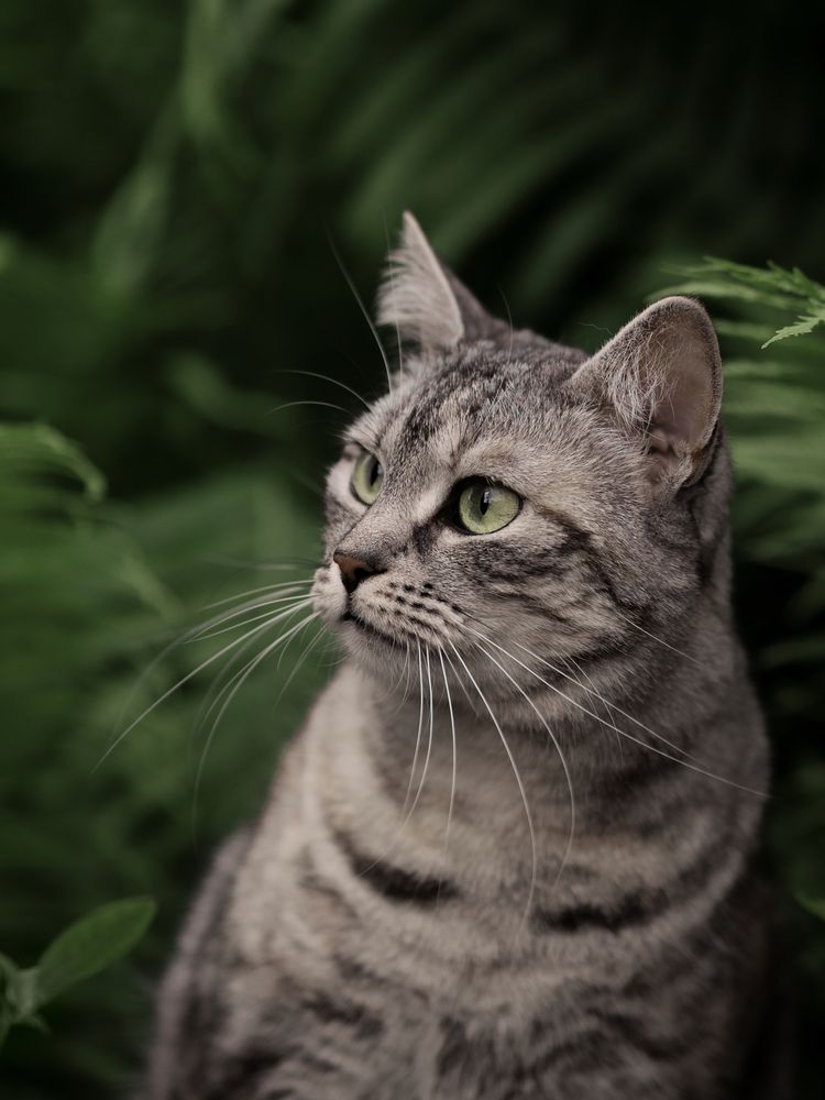 Photograph by Iryna Siamionava