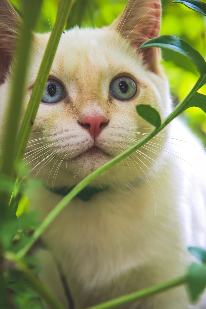 Photograph by Евгения Сенченко