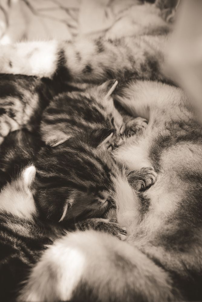Photograph by Евгения Сенченко