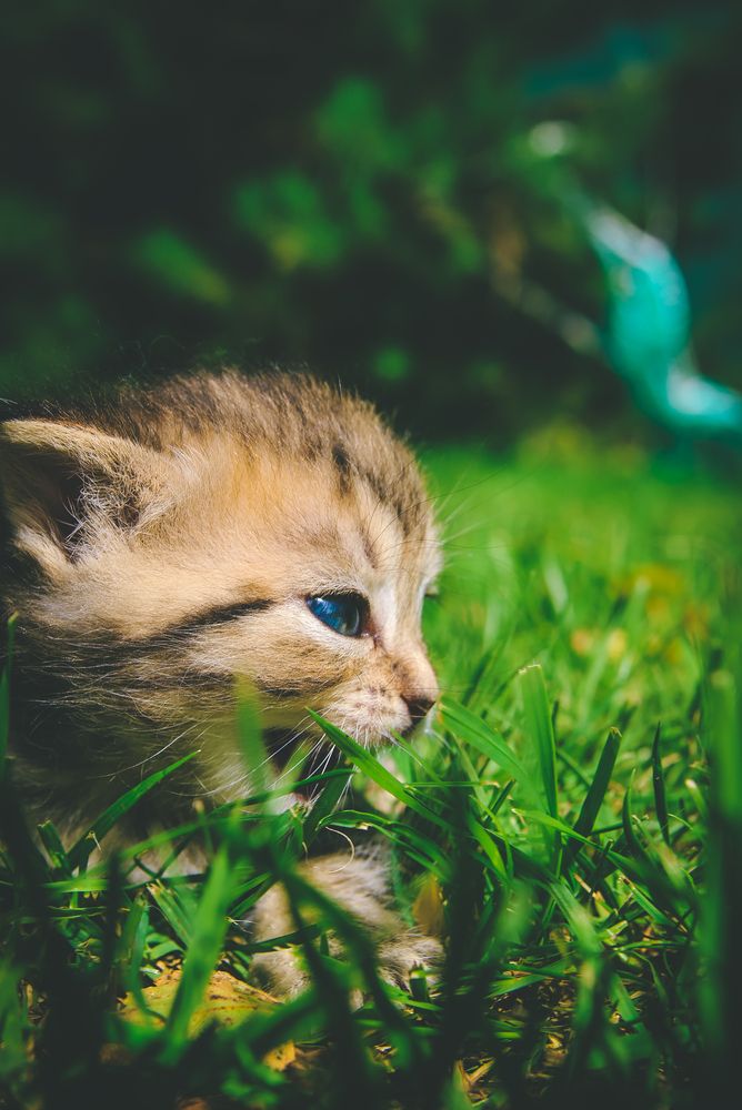Photograph by Евгения Сенченко