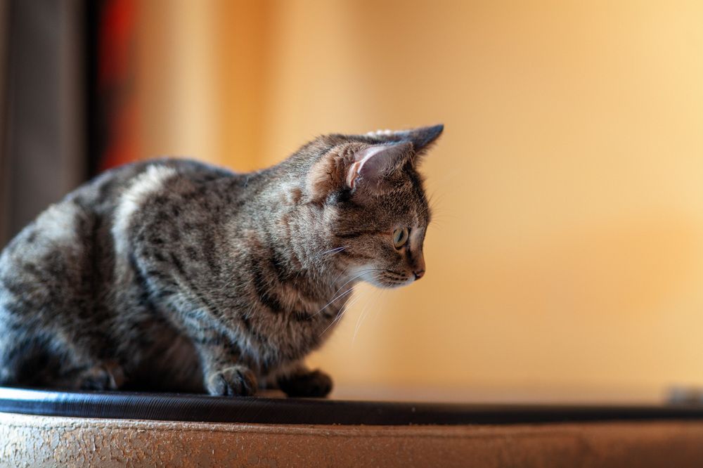 Photograph by Andrey S