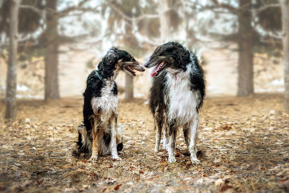 Фотография автора Екатерина Полякова