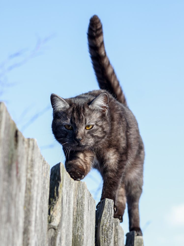 Photograph by Георгий Юркин