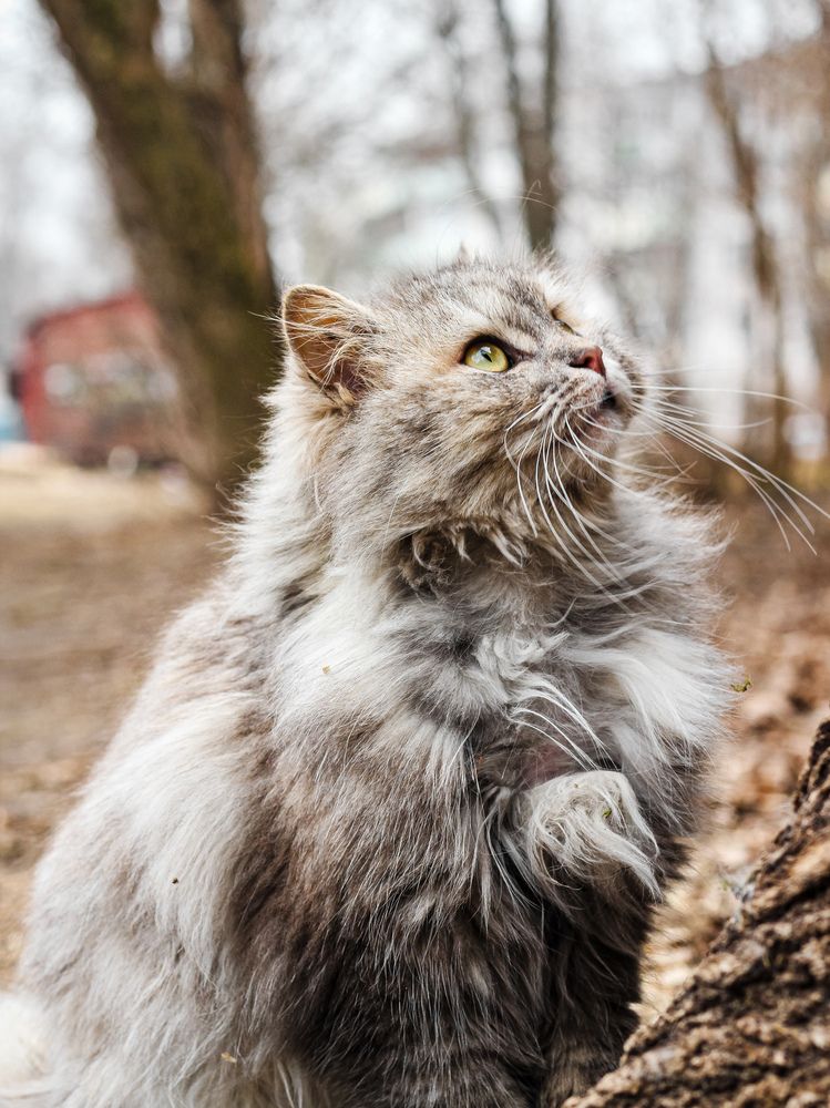 Photograph by Георгий Юркин