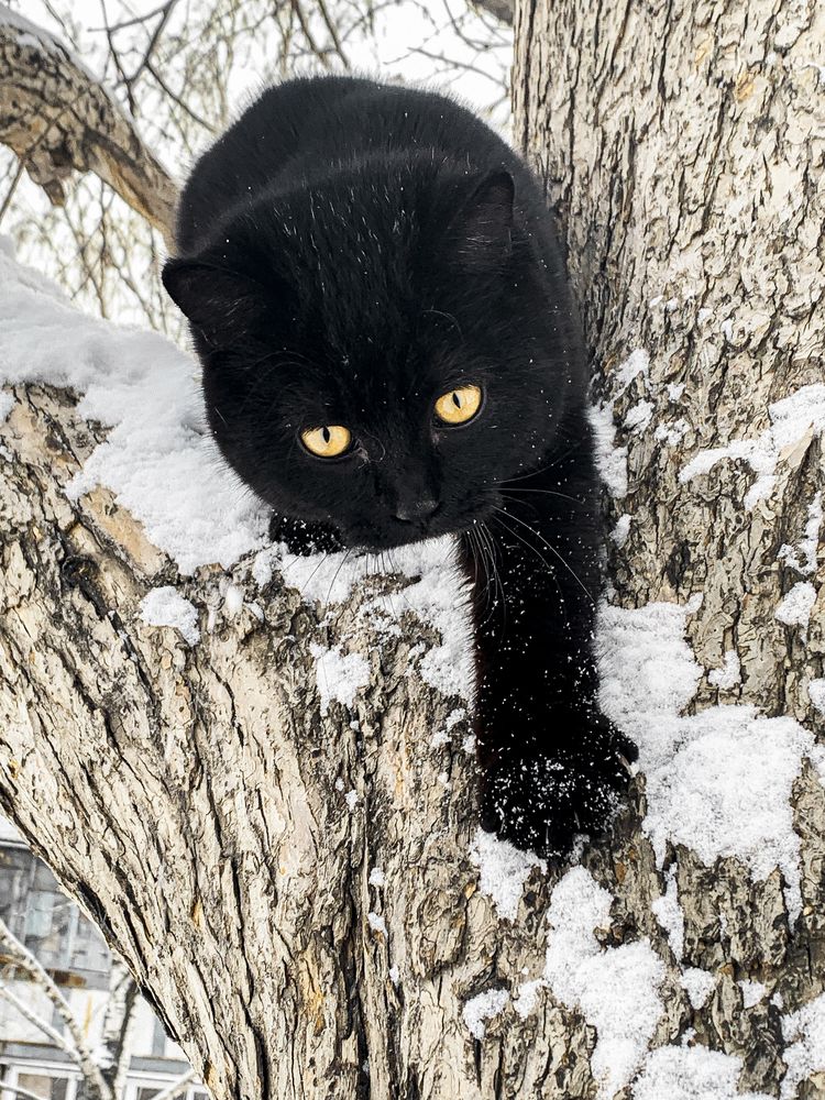 Photograph by Анна Потапова