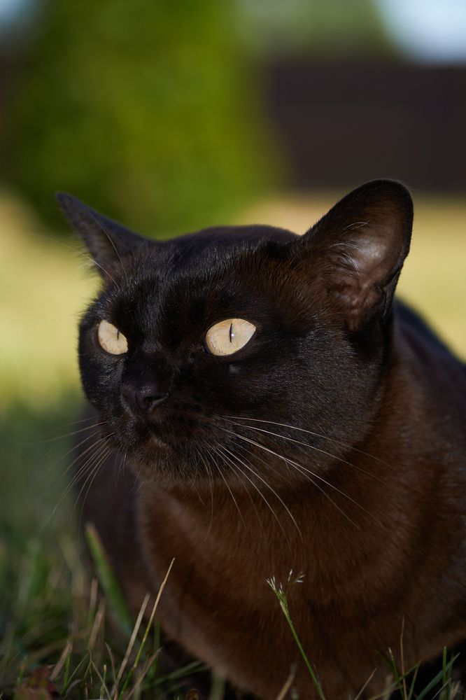 Photograph by Гюзель Даугуль