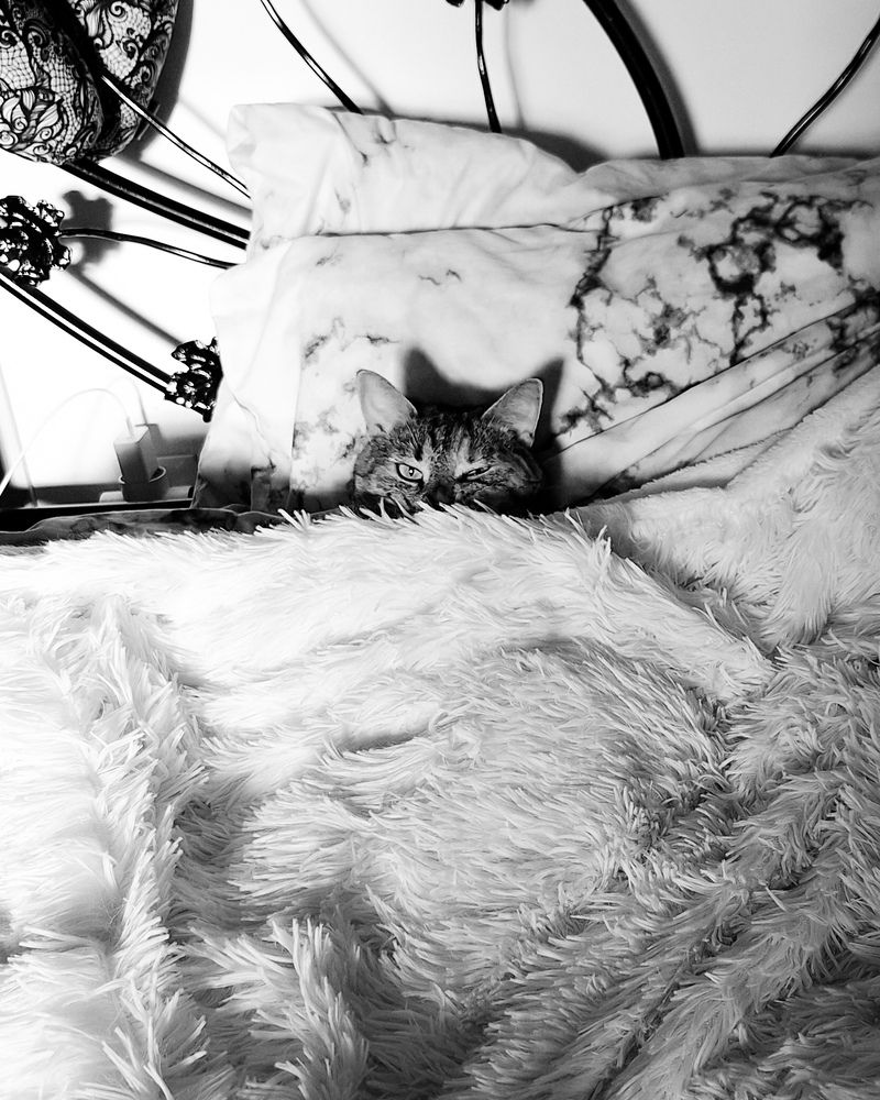 Photograph by Дарья Макаревич