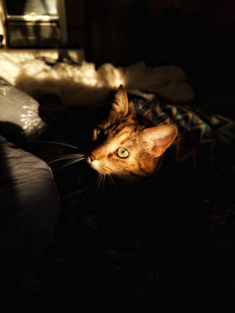 Photograph by Дарья Макаревич