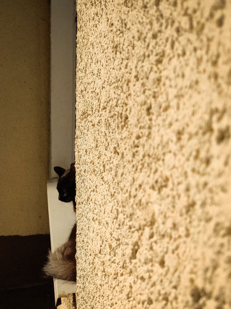 Photograph by Евгения Гродинская